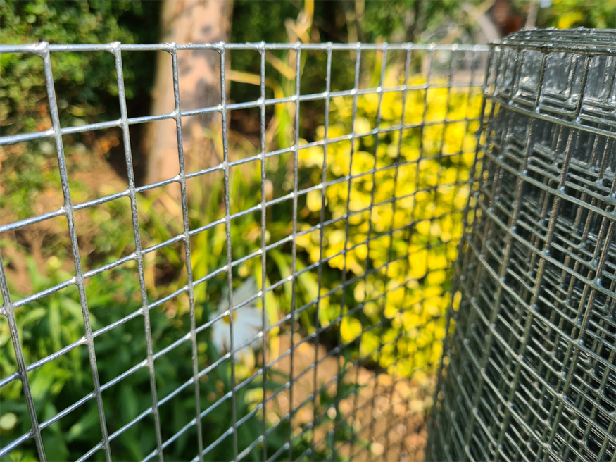 Welded Wire Mesh Rolls